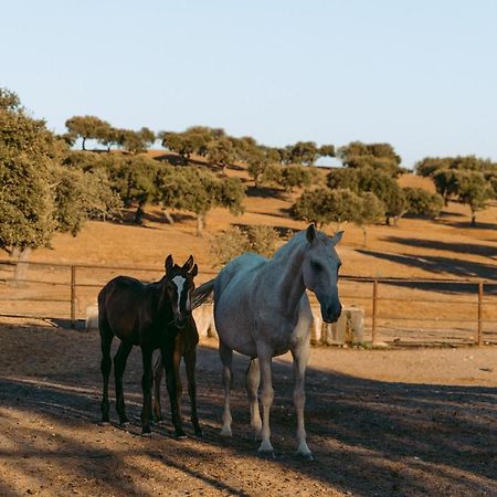 Herdade Da Caniceira Ervedal Extérieur photo