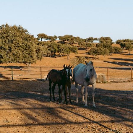 Herdade Da Caniceira Ervedal Extérieur photo