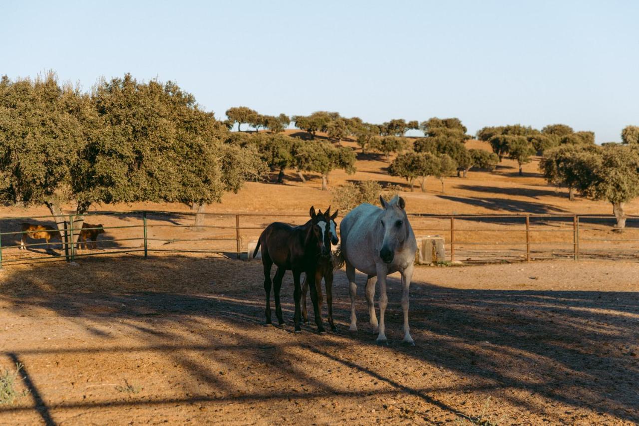 Herdade Da Caniceira Ervedal Extérieur photo
